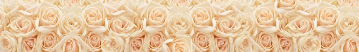 skinali 0917